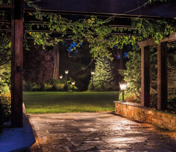 Outdoor commercial lighting at night - Landscape lighting Orlando