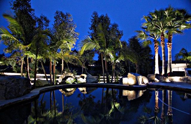 Residential landscape lighting around outdoor pool at night