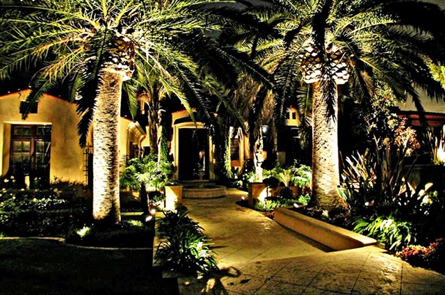 Outdoor residential lighting highlighting palm trees and walkway at night