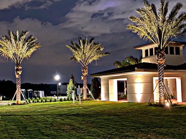 Outdoor lighting for building with palm trees at night